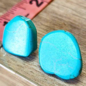 Howlite Stud Earrings